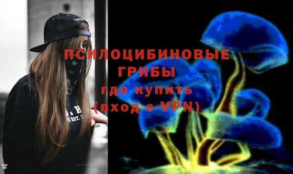 круглые Алзамай